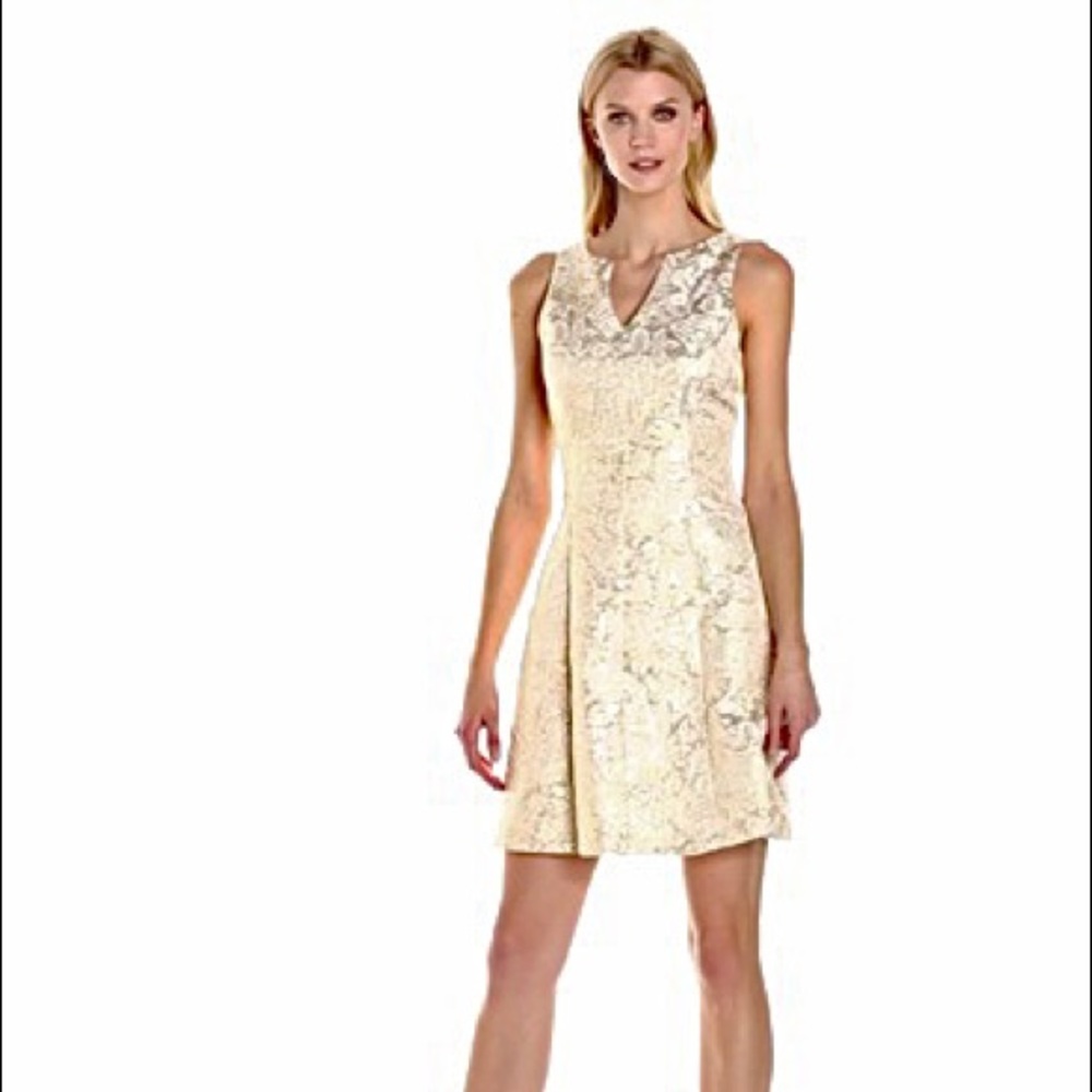 Ronni Nicole Women's Sleeveless Jacquard Fit and Flare Party Dress